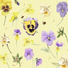 Kaart flowers by Marjolein Bastin Geel viooltjes paars